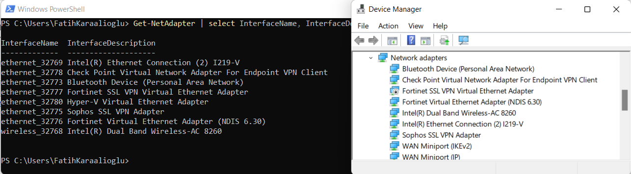 Windows Server Network Adapter vs Network Interface